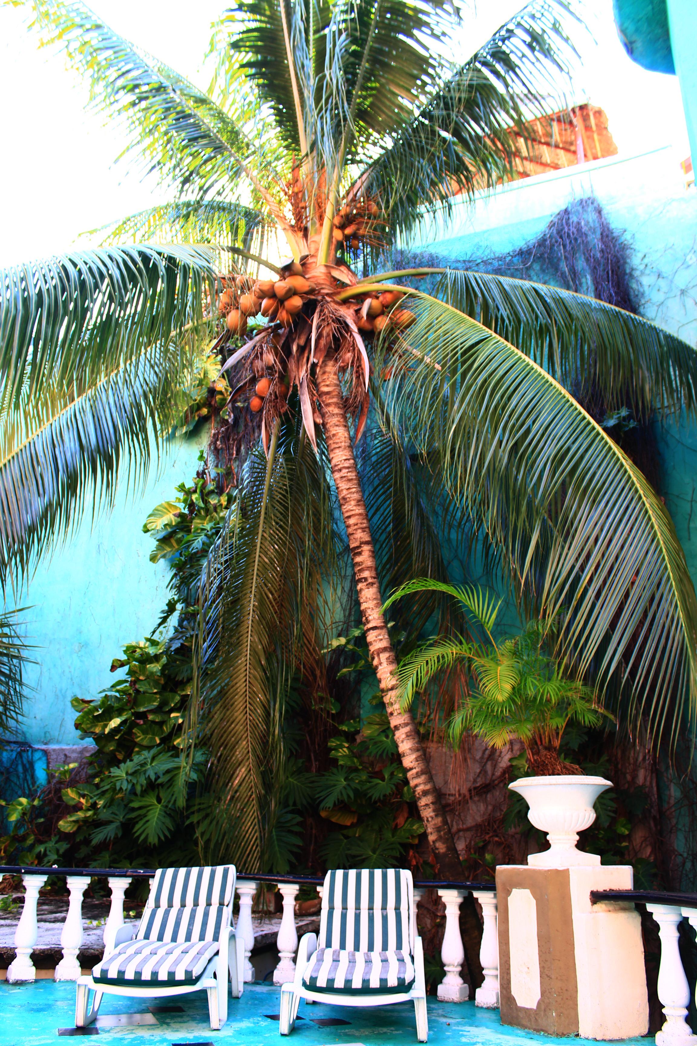 Maya Del Mar On Fifth Avenue Playa del Carmen Extérieur photo